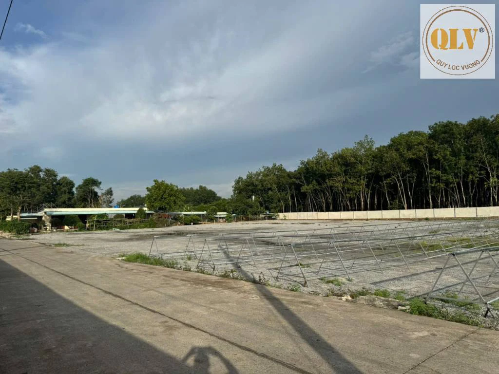 Cho thuê nhà xưởng Phước Hòa, Phú Giáo, Bình Dương 10.000m² — ảnh 5