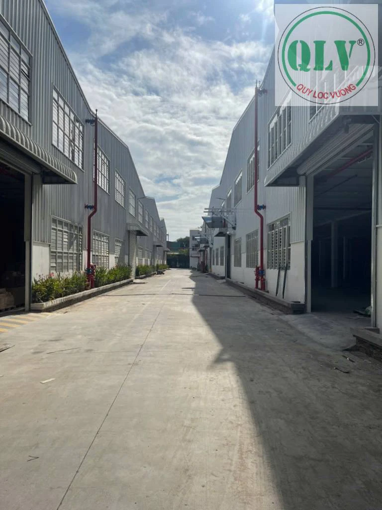 CHO THUÊ NHÀ XƯỞNG TÂN VĨNH HIỆP, TÂN UYÊN, MỚI XÂY DỰNG, 31.027M², KẾT CẤU KIÊN CỐ — ảnh 4