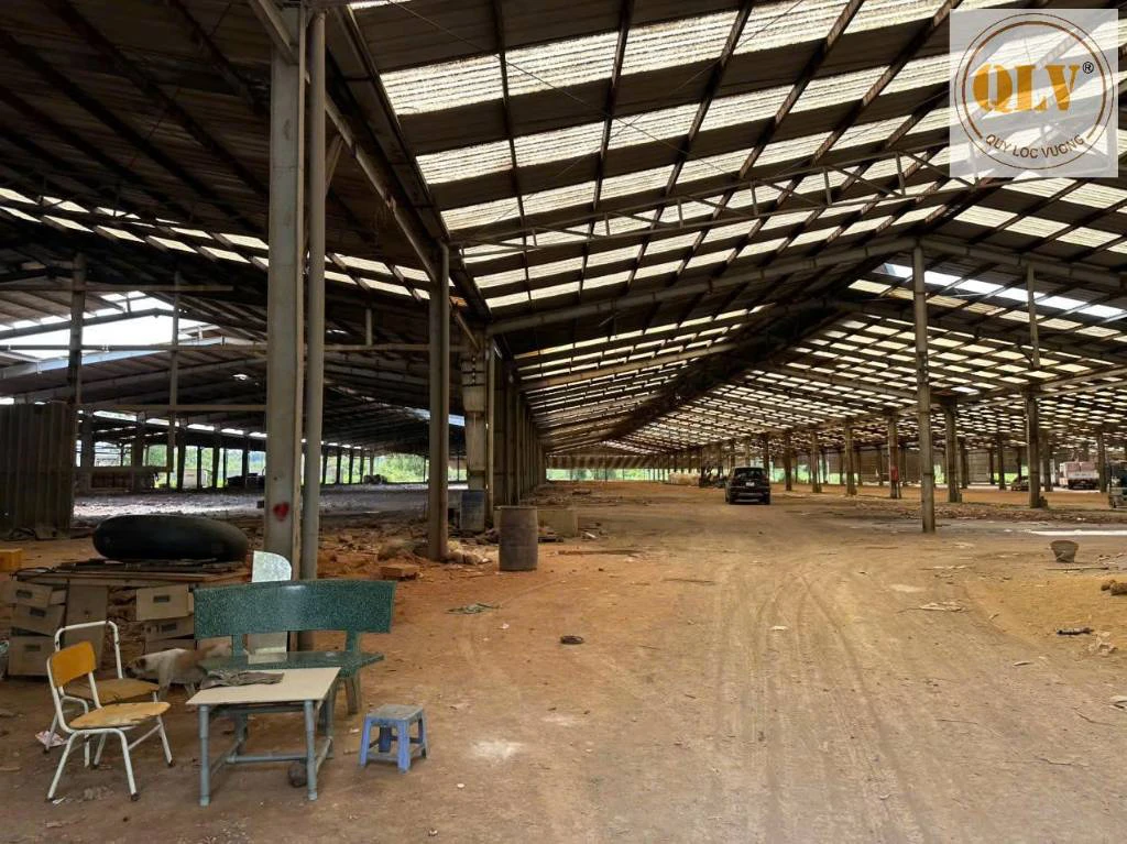 Cho thuê nhà xưởng Bắc Tân Uyên, Bình Dương, DT 37.000m² — ảnh 2