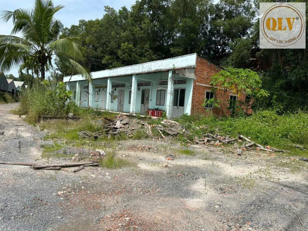 Cho thuê nhà xưởng Bắc Tân Uyên, Bình Dương, DT 37.000m² — ảnh 3