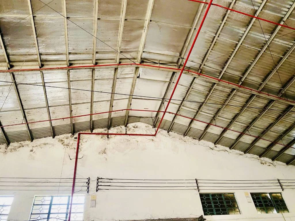 Cho thuê kho xưởng Trần Đại Nghĩa, Bình Tân, dt 3500m2, kho phụ, văn phòng, pccc, giá 235 triệu — ảnh 1