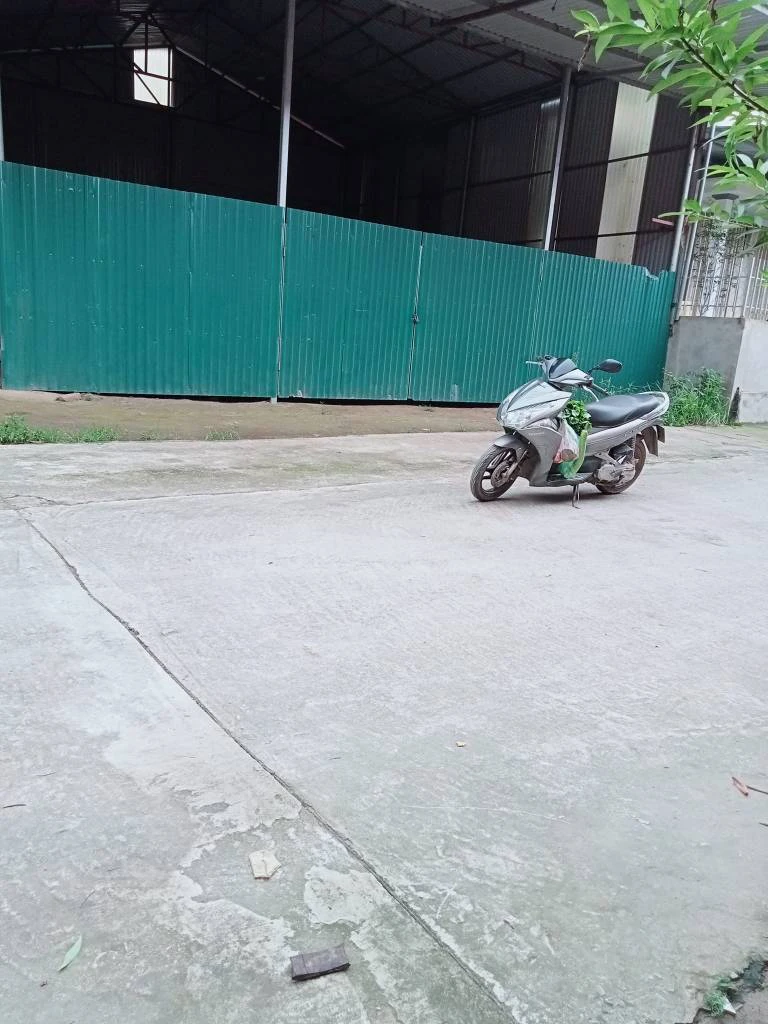 Cho thuê kho xưởng Nguyễn Lương Bằng, Kiến An, DT 320m2, xe container thuận tiện, bãi 2000m2 — ảnh 3