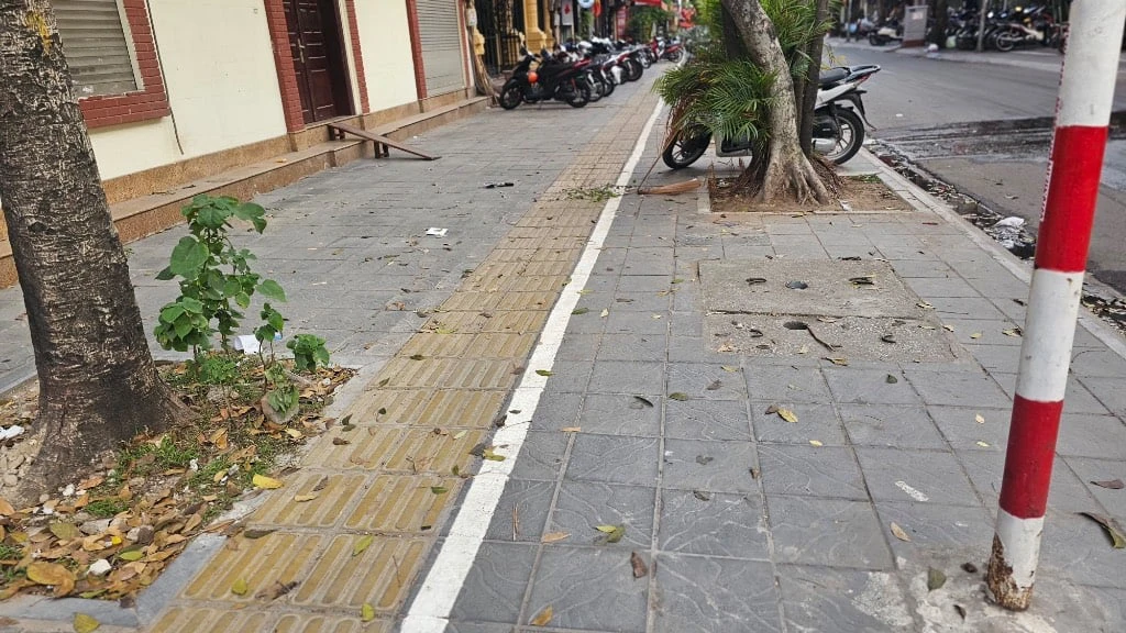 BÁN NHÀ MẶT PHỐ HOÀNG QUỐC VIỆT, CẦU GIẤY, 2 MẶT THOÁNG, KINH DOANH MỌI LOẠI HÌNH — ảnh 7