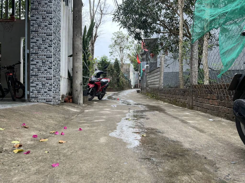 BÁN LÔ ĐẤT KIỆT Ô TÔ HÒA THỌ TÂY, CẨM LỆ, DT 100M2, GIÁ CHỈ 2,65 TỶ, SỞ HỮU NGAY — ảnh 3
