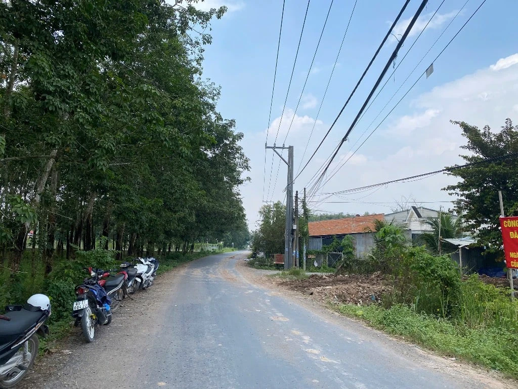 Bán đất Trảng Bàng, Tây Ninh, diện tích 906,5m2 có 200m thổ cư, giá chỉ 4,5 tỷ — ảnh 2