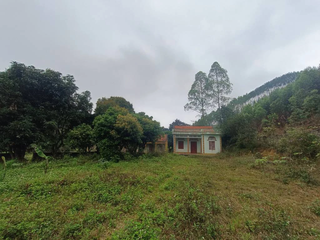 Chính chủ bán lô đất Hương Sơn, Bắc Giang, xây nhà đất nghỉ dưỡng, giá siêu rẻ ngay Bắc Ninh — ảnh 3