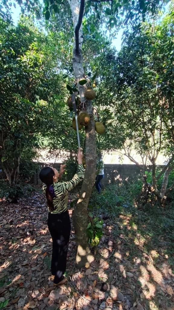 Chính chủ bán lô đất Hương Sơn, Bắc Giang, xây nhà đất nghỉ dưỡng, giá siêu rẻ ngay Bắc Ninh — ảnh 4