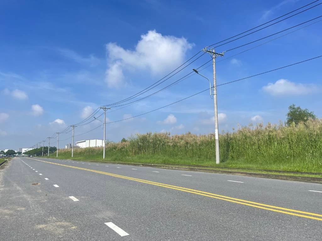 BÁN ĐẤT KHU CÔNG NGHIỆP TẠI AN THẠNH, BẾN LỨC, LONG AN, DT 12000M2, SỔ RIÊNG, GIÁ TỐT — ảnh 3