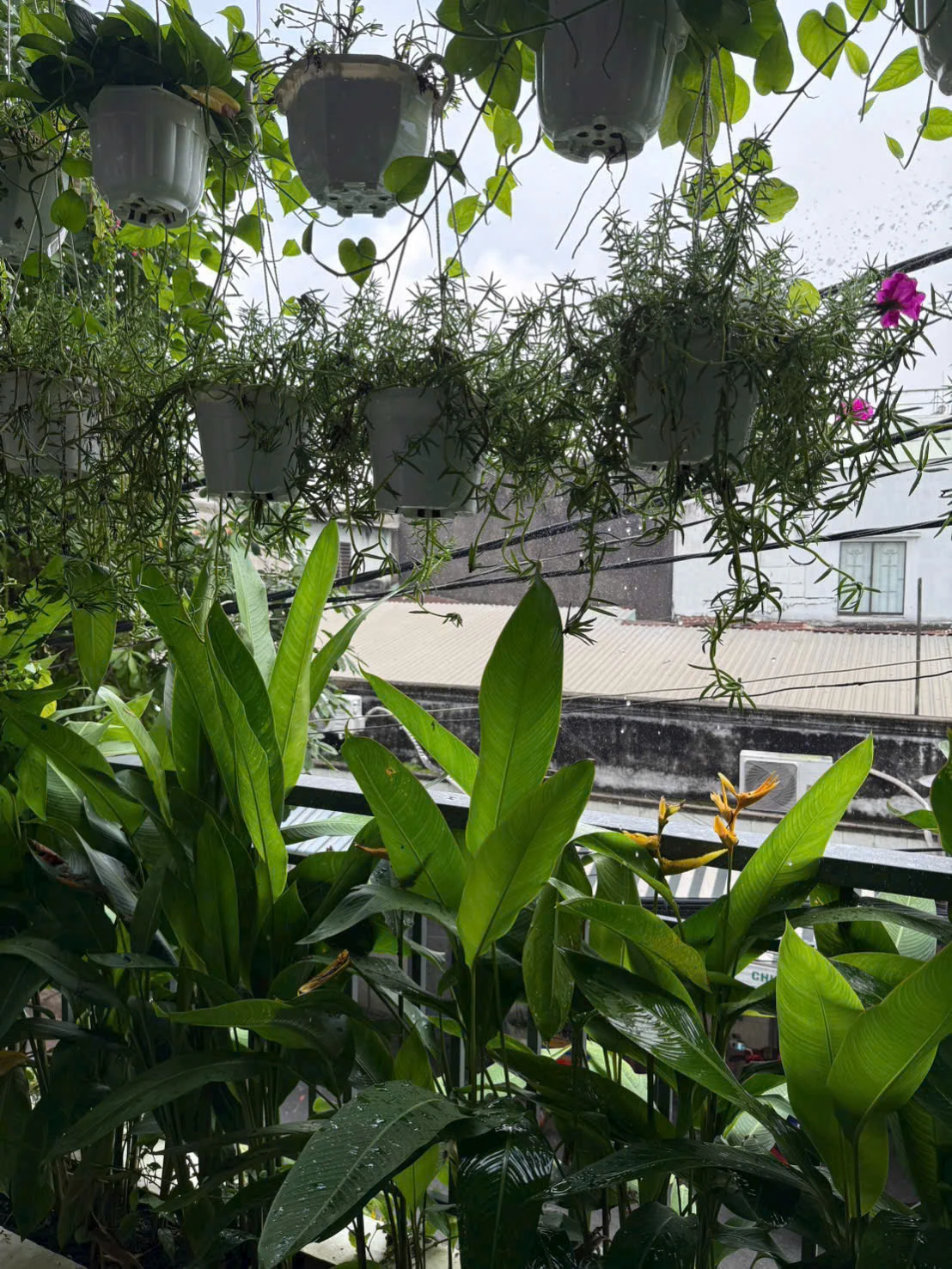 NHÀ HXH 10M Nguyễn Quý Anh – 4x11m – 1 LẦU – — ảnh 5