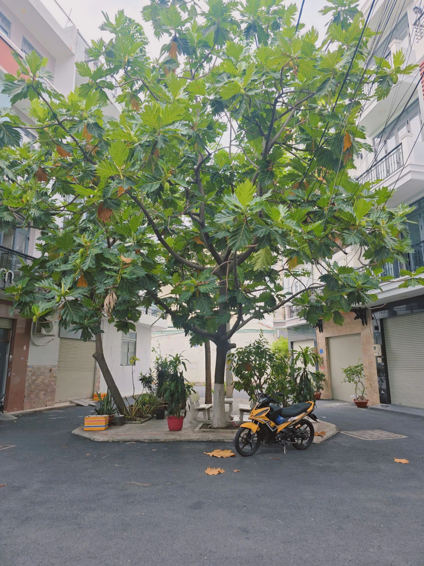 BÁN NHÀ ĐƯỜNG KÊNH NƯỚC ĐEN (ĐÀM THẬN HUY) – PHÚ THỌ HÒA, TÂN PHÚ, TP.HCM — ảnh 1