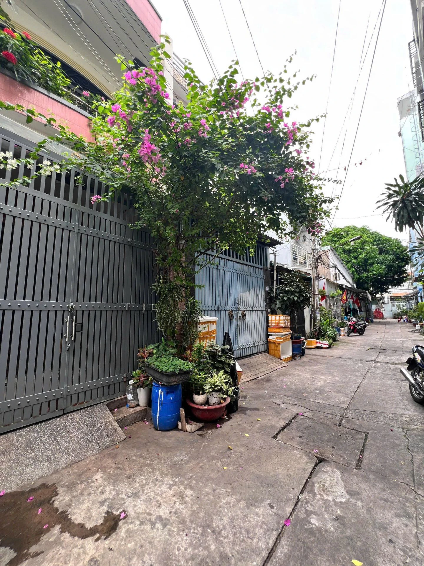Bán nhà đường Đỗ Công Tường, DT: 4.1m x 16m, 1 Lầu - Sân thượng. — ảnh 2