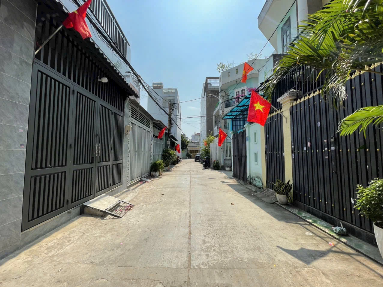 Bán đất Hẻm xe hơi - đường Phạm Đăng Giảng — ảnh 2