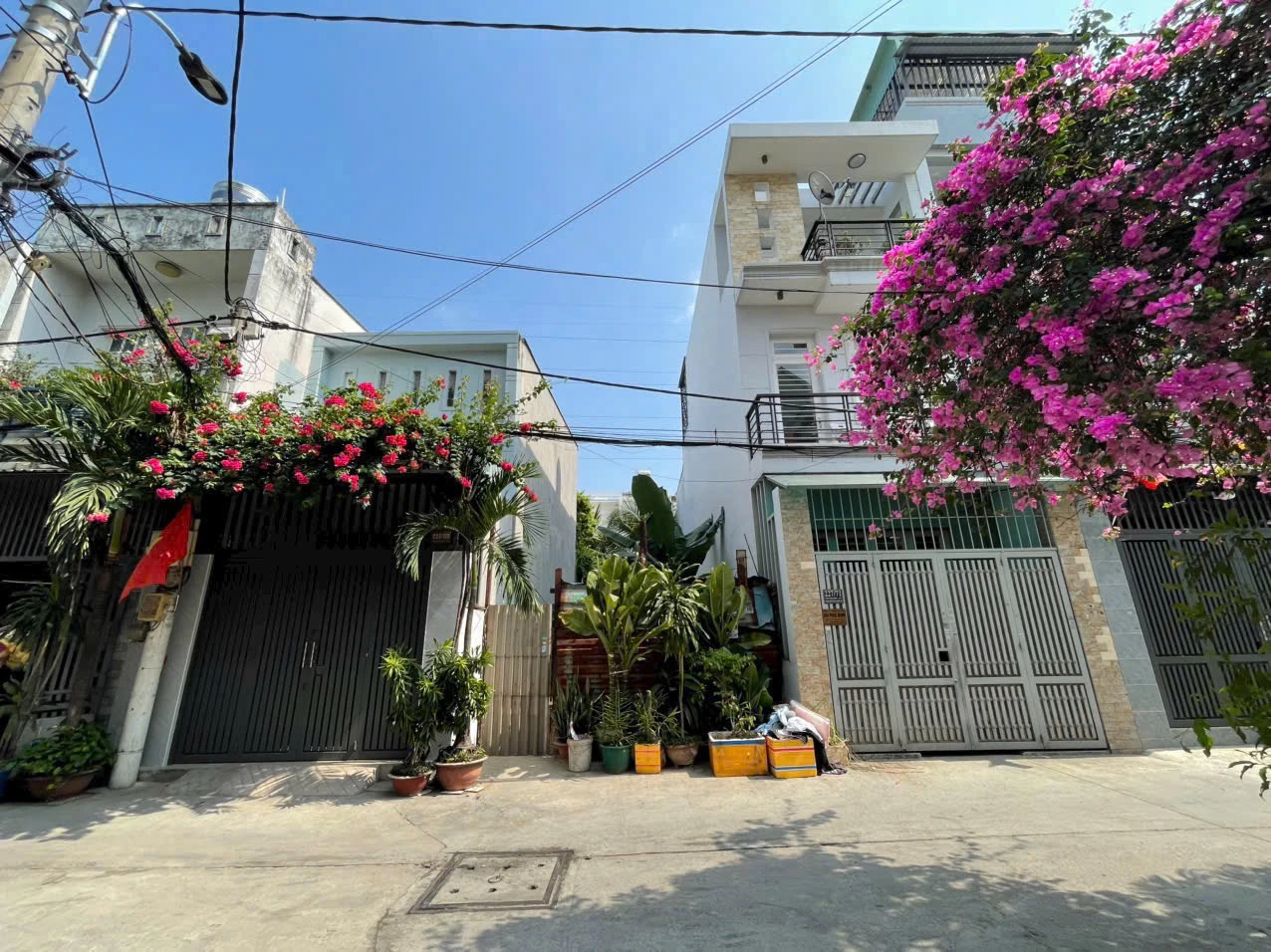 Bán đất Hẻm xe hơi - đường Phạm Đăng Giảng — ảnh 3