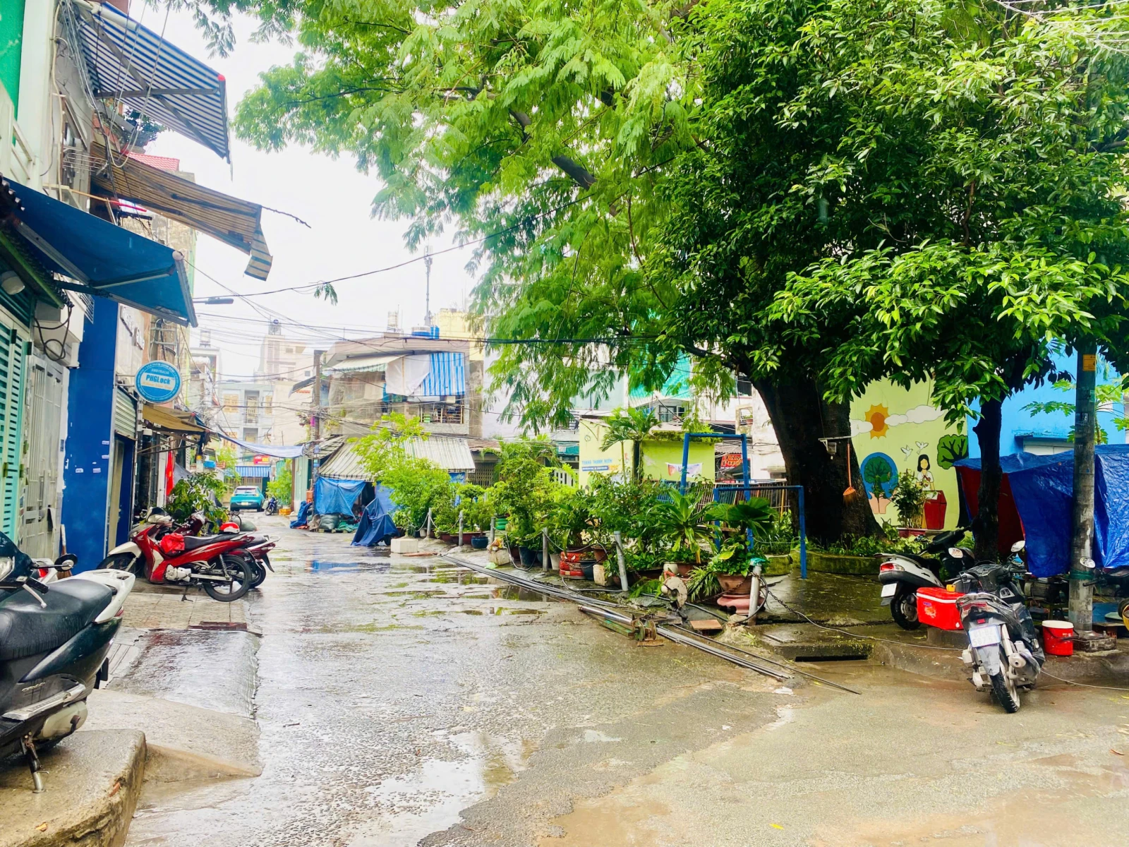 Bán nhà HXH thông P. Tân Quý - Q. Tân Phú, DT: 4x21m, Cấp 4. — ảnh 1