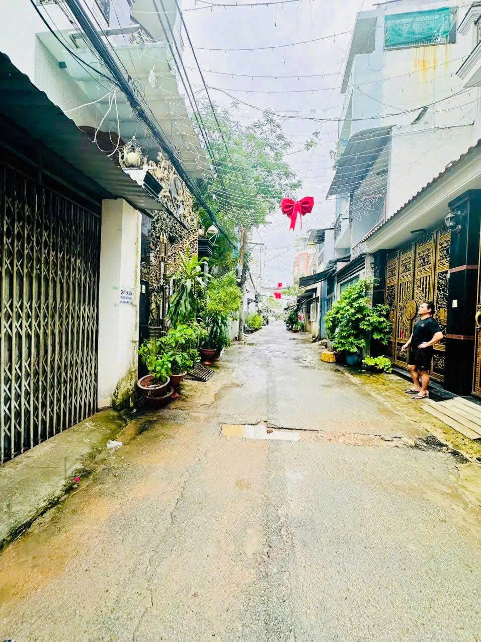 Bán nhà HXH thông P. Tân Quý - Q. Tân Phú, DT: 4x21m, Cấp 4. — ảnh 3