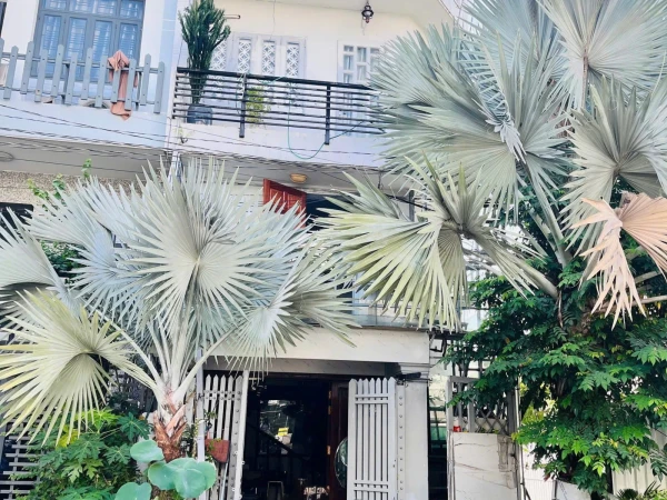 Mặt Tiền Lê Đình Thám, P. Tân Quý. DT: 5m x 12.5m (2 Lầu ST).