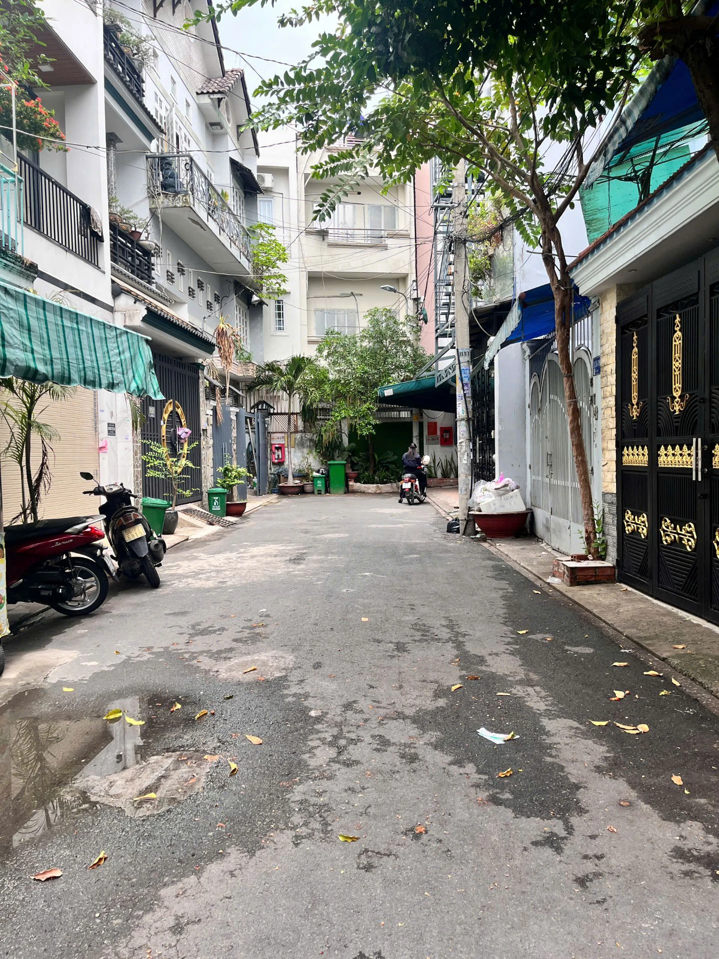 KHU VIP GÒ DẦU: HẺM NHỰA 4X20M, 3.5 TẤM – NHÀ ĐẸP — ảnh 2