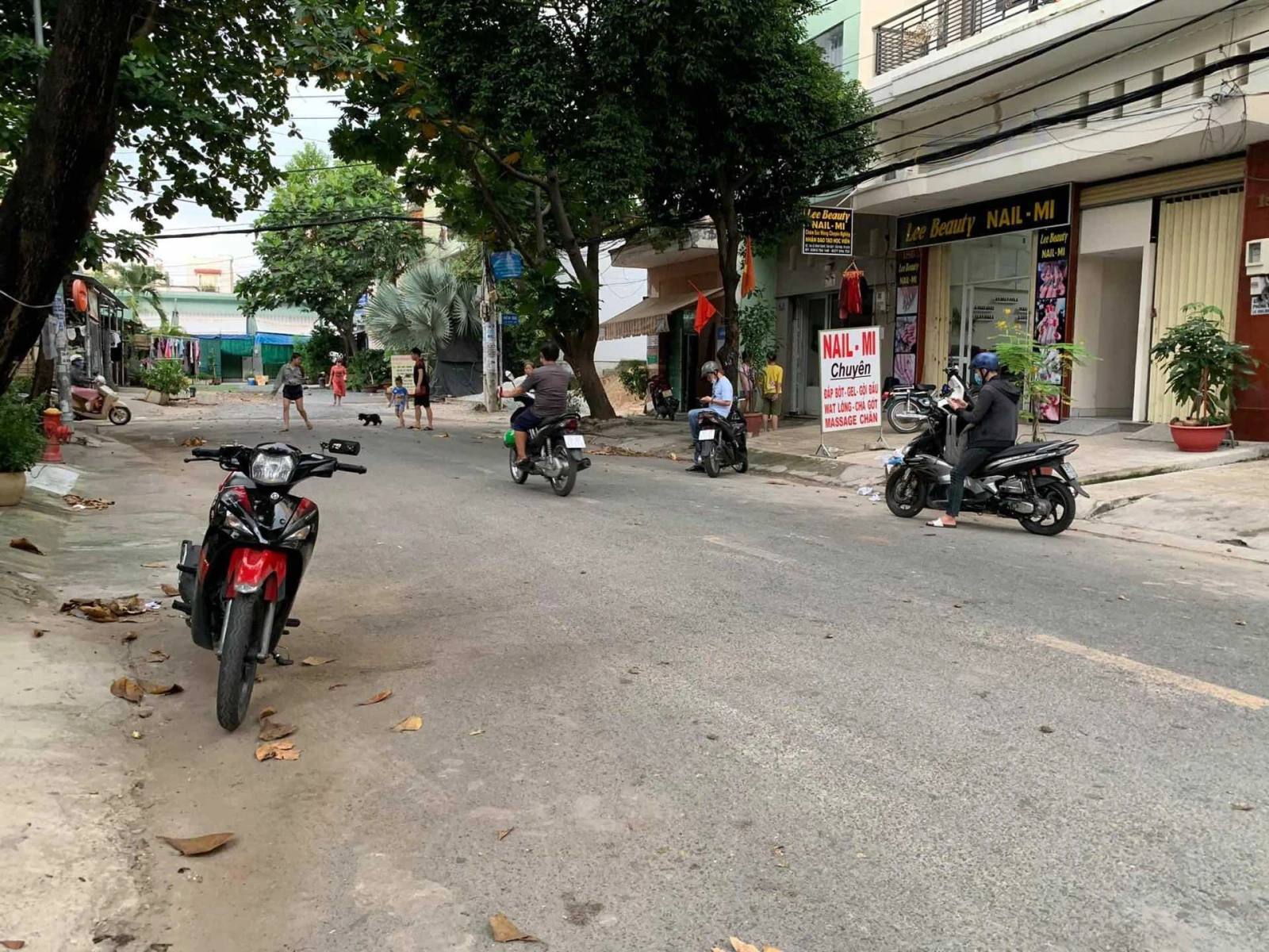 Mặt tiền kinh doanh ngang 5m Đường Lê Đình Thám,vị trí đẹp đoạn gần Tân Quý. — ảnh 2