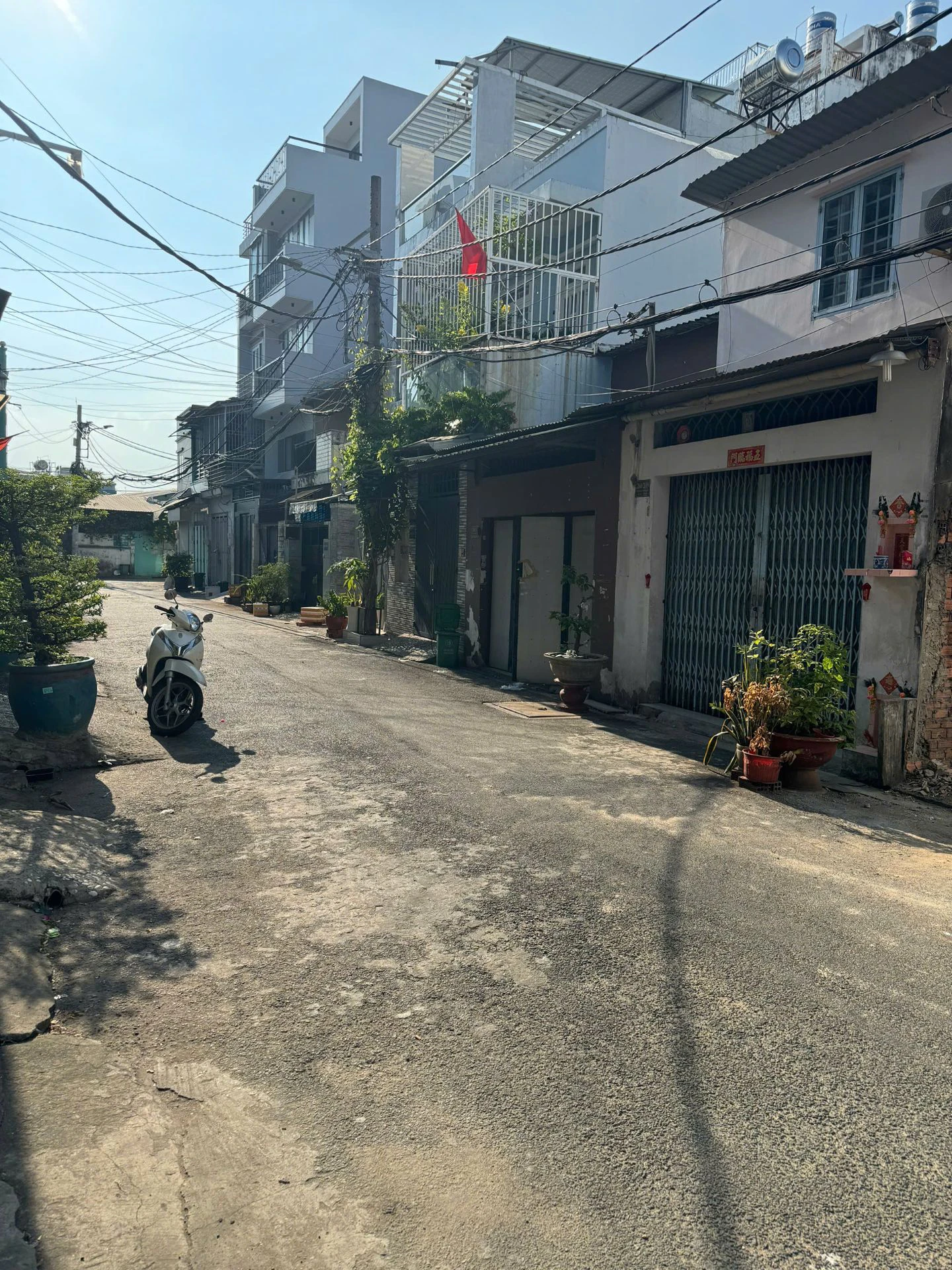 Bán 2 lô đất trống,hẽm nhựa 7m thông Đường Phan Anh,Q Tân Phú ( 4x15m). — ảnh 4