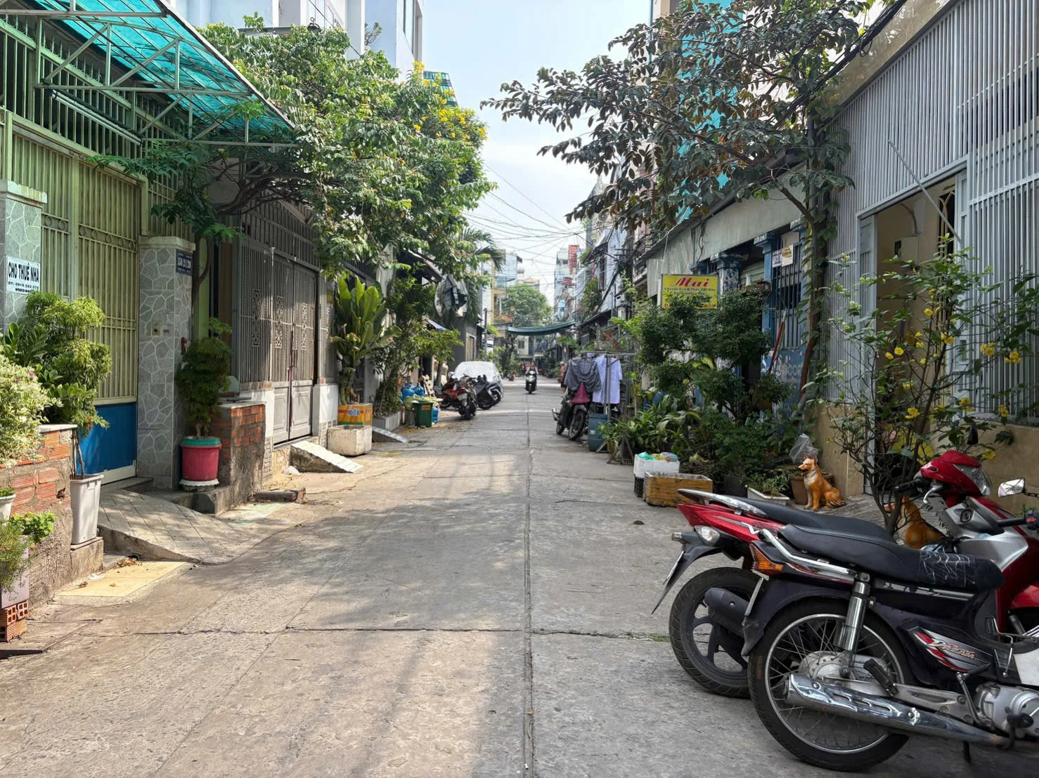 BÁN NHÀ HẺM 6M THÔNG – ĐƯỜNG 26/3, P. BÌNH HƯNG HÒA, Q. BÌNH TÂN • Diện tích: 4 x 12m (TDT: 48m²) — ảnh 1