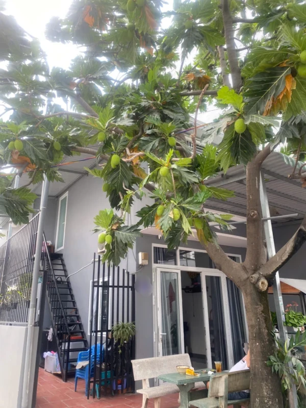 Nhà ngang 6.2m hẻm xe hơi đường Gò Dầu Q.Tân Phú 93m2 đúc 1 lầu