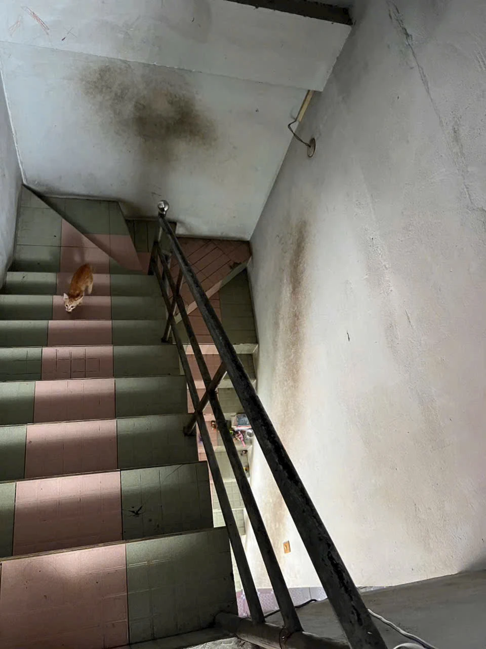 Bán nhà mặt tiền đường Luỹ Bán Bích Q.Tân Phú 75m2 đúc 3 tấm — ảnh 5