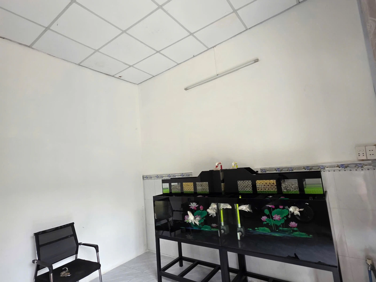 Nhà giá tốt ngang 5.6m đường Lê Đình Cẩn 82m2 cấp 4 — ảnh 2