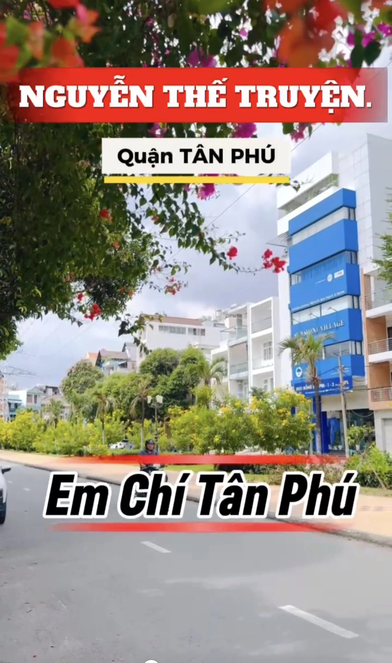 HẺM VÍP 12M THÔNG KHU BIỆT THỰ NGUYỄN THẾ TRUYỆN DT: 9x18M ( cấp 4 ) — ảnh 3