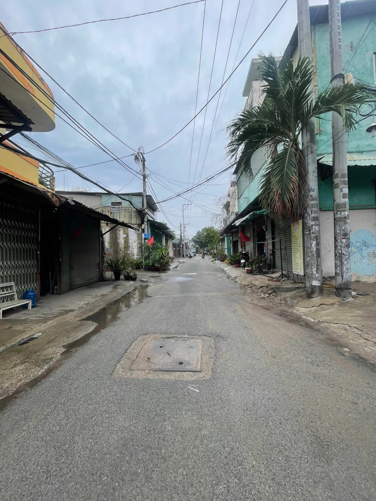 Nhà Đẹp Gần QL1A – 3 Tầng – Hẻm 8m Thông – Giá Tốt — ảnh 3