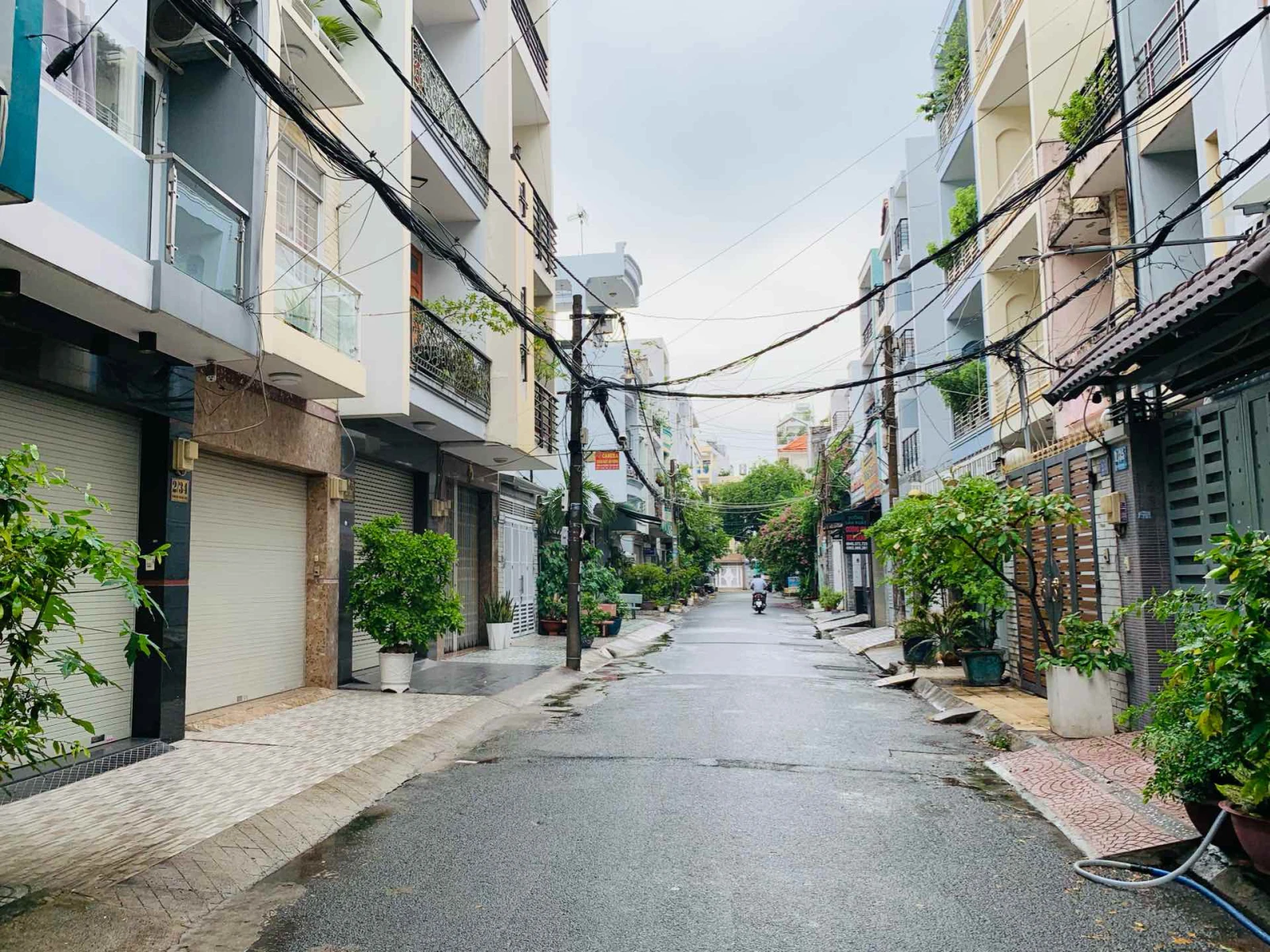 Bán đất Tô Hiệu, Hiệp Tân, Tân Phú, DT 4x16.8 – hẻm 8m nhựa có lề — ảnh 3