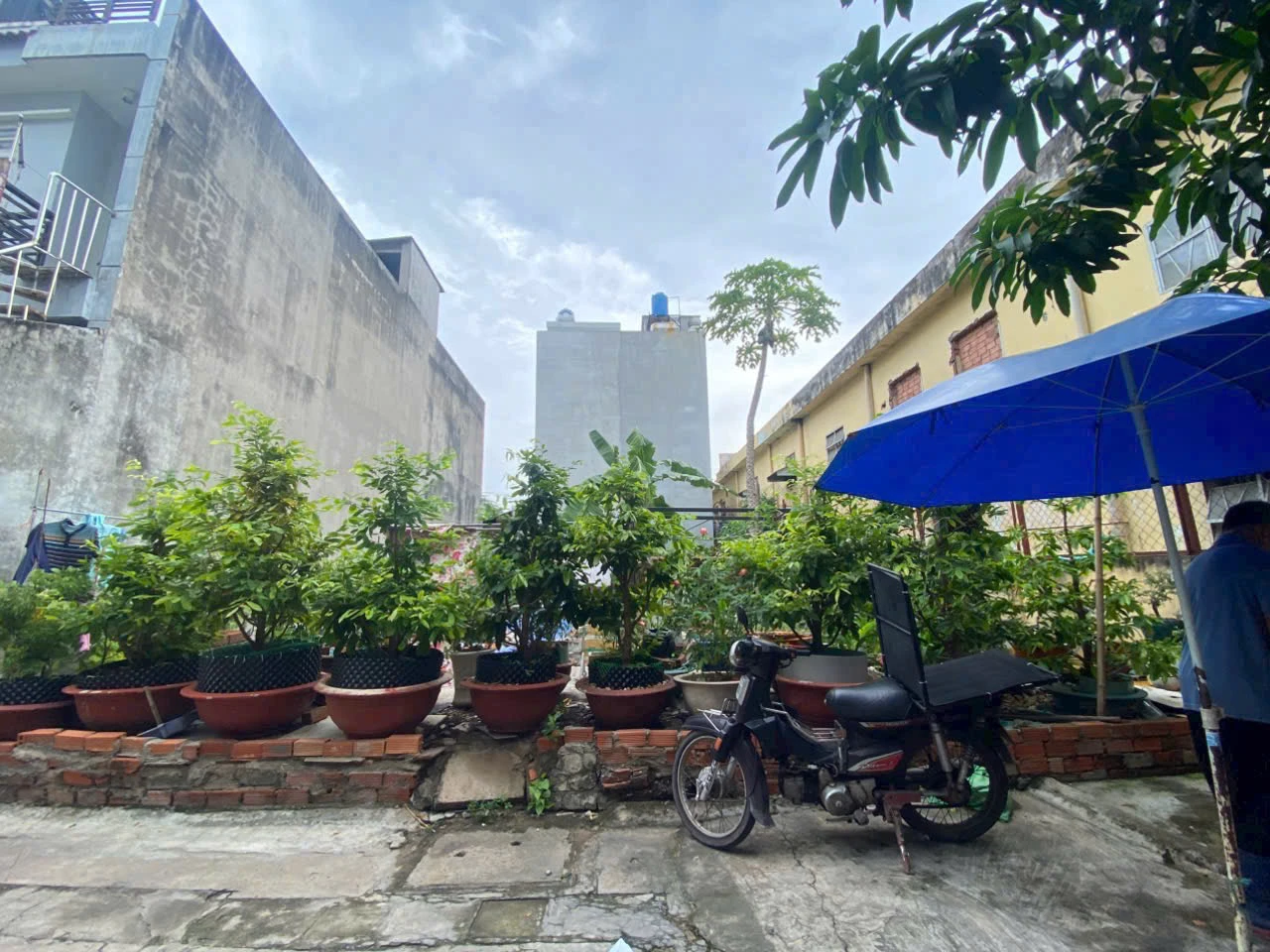 Bán lô đất hẻm 6m – 704 Hương Lộ 2, P. Bình Trị Đông A, Bình Tân, hướng Bắc — ảnh 2