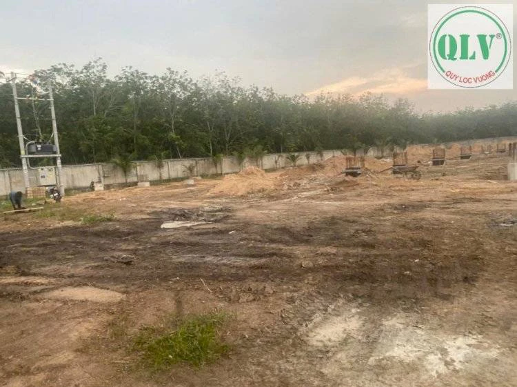 CHO THUÊ NHÀ XƯỞNG LAI HƯNG, BÀU BÀNG, BÌNH DƯƠNG, 16373M², CHỈ 70K/K² — ảnh 5