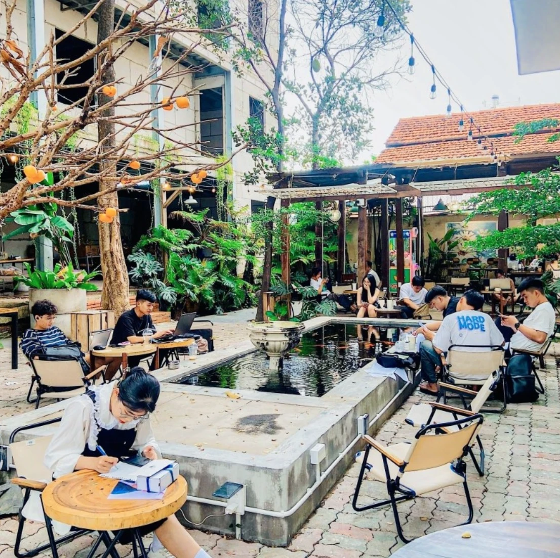100 TỶ – SỞ HỮU 1.000M2 ĐẤT VÀNG DƯƠNG QUẢNG HÀM – THU NHẬP 130TR/THÁNG — ảnh 7