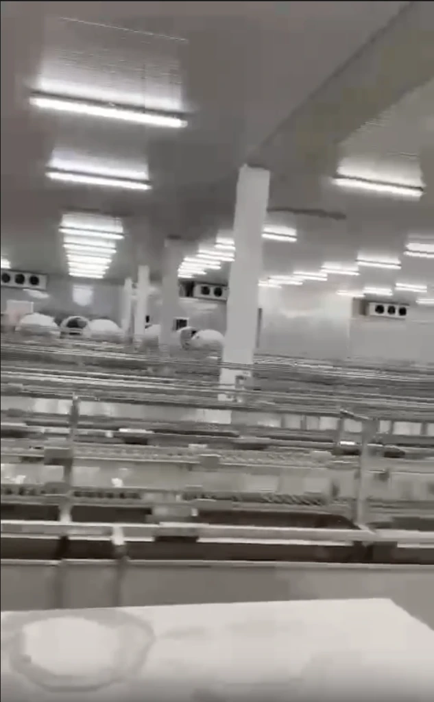 Bán nhà xưởng Bình Minh, Vĩnh Long, mặt tiền sông Hậu, dt 23000m2, vận hành ngay, 150 tỷ TL — ảnh 3