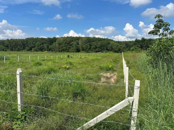 BÁN ĐẤT CÔNG NGHIỆP KCN HÒA PHÚ, VĨNH LONG, DT 84599M2, QUY MÔ LỚN, SANG TÊN NHANH, GIÁ TỐT