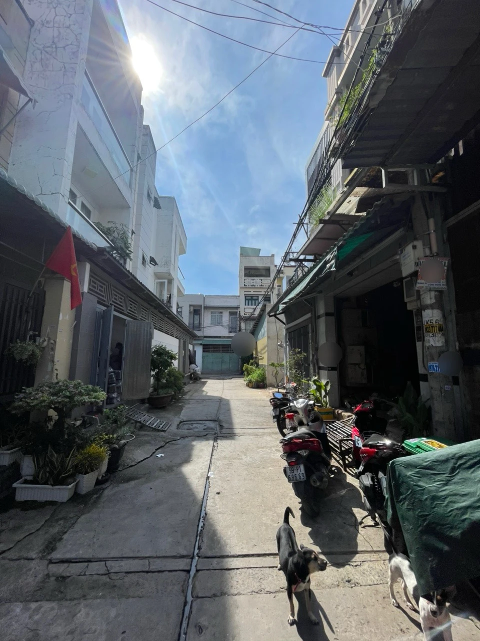 Nhà 1 Lầu Hẻm 6m Thông Liên Khu 5-6 – 56m², Đang Có Thu Nhập 6 Triệu/Tháng, Giá 5.5 Tỷ — ảnh 2