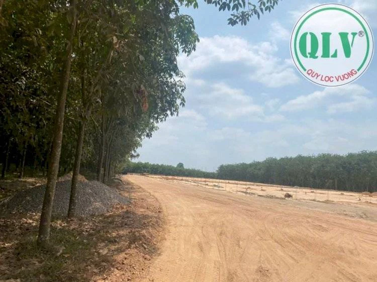 CHO THUÊ NHÀ XƯỞNG LONG NGUYÊN, BÀU BÀNG, BÌNH DƯƠNG, 7678M², CHỈ 65K/M² — ảnh 4