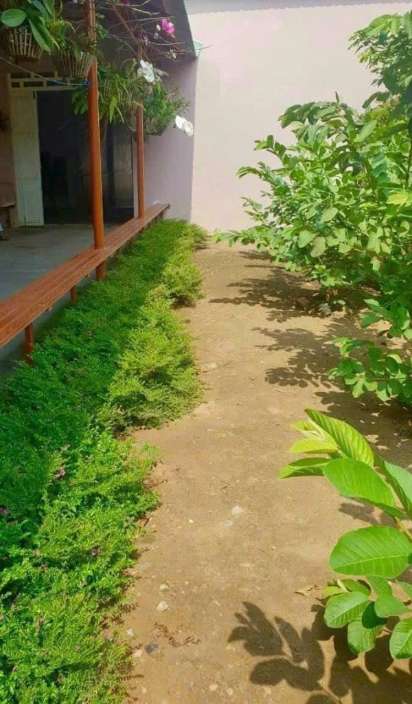 CHO THUÊ BIỆT THỰ 2 MẶT TIỀN ĐƯỜNG BÙI HỮU NGHĨA, BÌNH THỦY, CẦN THƠ, SÂN VƯỜN 3 TẦNG, NGANG 16M — ảnh 12