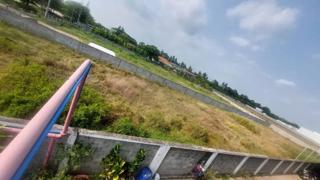 BÁN QUỸ ĐẤT CAO LÃNH, ĐỒNG THÁP, DT 21,467M2, SX NÔNG NGHIỆP, SỔ RIÊNG, GIÁ TỐT — ảnh 2