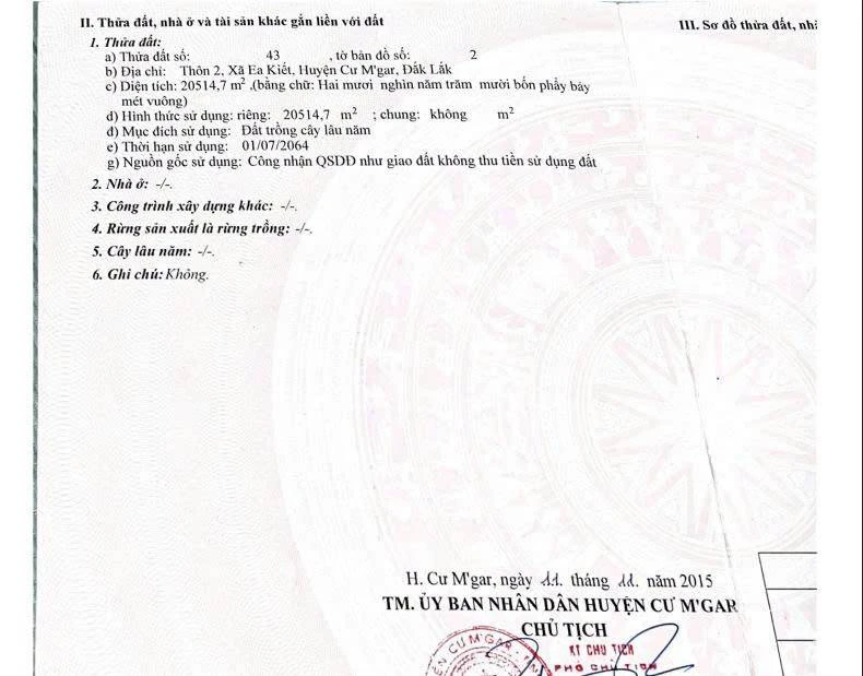Bán đất vườn tại xã Ea Kiết Đắk Lắk, đất trồng cây lâu năm, dt hơn 2 ha, giá 3 tỷ, sẵn sổ — ảnh 2