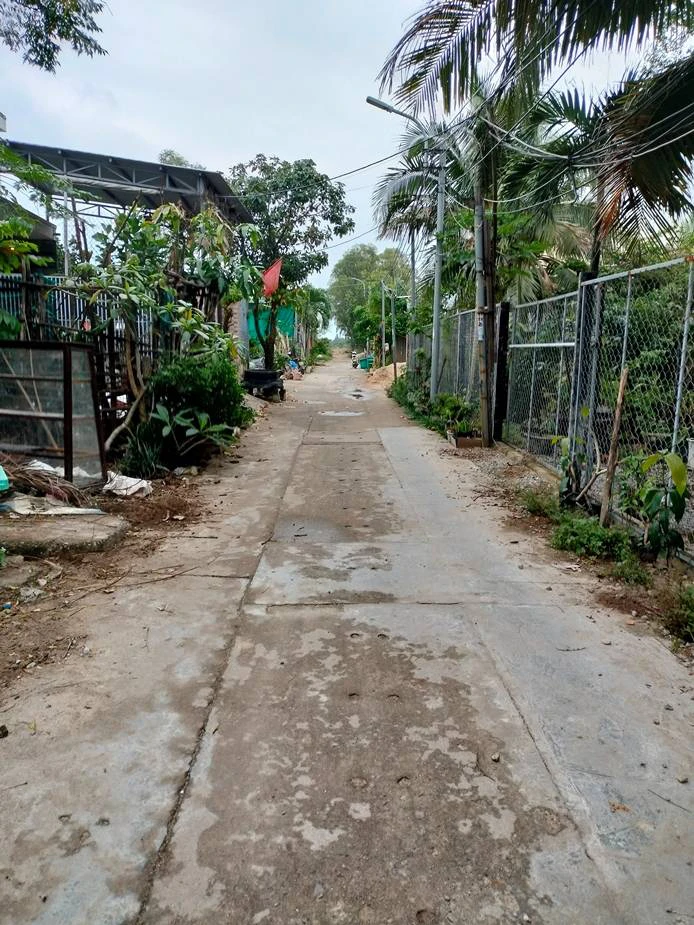 BÁN ĐẤT HÒA THỌ TÂY, CẨM LỆ, DT 113M2, KIỆT Ô TÔ 3M, CHỈ 2 TỶ — ảnh 3