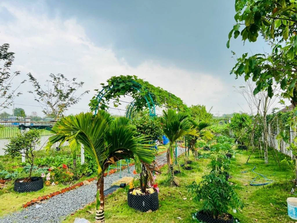 Cần bán đất Cây Trôm mỹ khánh, Củ Chi, dt 954m2 có 300m2 thổ cư SHR, giá 2,7 tỷ — ảnh 2