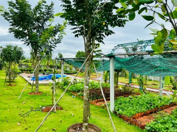 Cần bán đất Cây Trôm mỹ khánh, Củ Chi, dt 954m2 có 300m2 thổ cư SHR, giá 2,7 tỷ