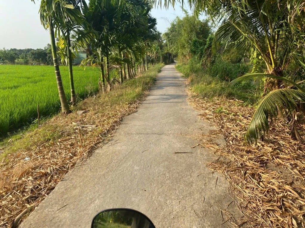 Bán đất Trường Long A, Hậu Giang, diện tích 13.000m² chính chủ giá 3,8 tỷ — ảnh 2
