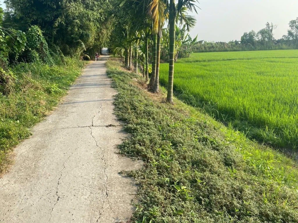 Bán đất Trường Long A, Hậu Giang, diện tích 13.000m² chính chủ giá 3,8 tỷ — ảnh 3