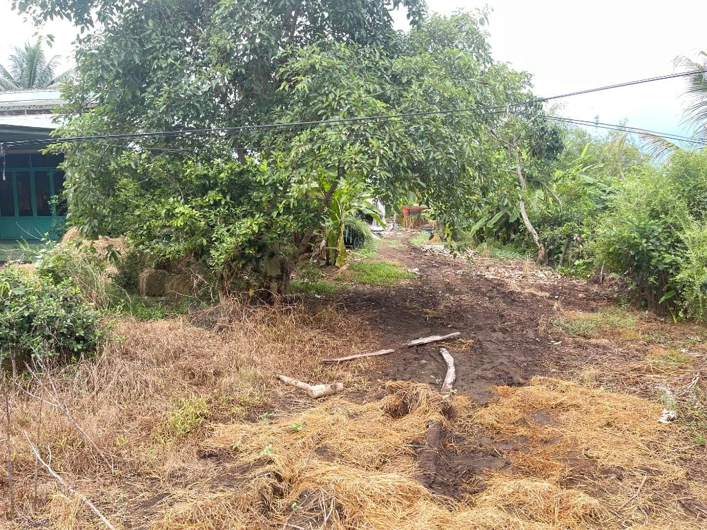 BÁN ĐẤT XÃ TÂN PHÚ, ĐỒNG THÁP, CHÍNH CHỦ, DT 4259M2 ĐẤT TRỒNG LÚA, GIÁ 1,9 TỶ — ảnh 2