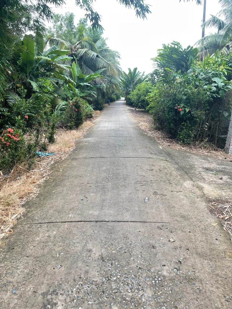BÁN ĐẤT XÃ TÂN PHÚ, ĐỒNG THÁP, CHÍNH CHỦ, DT 4259M2 ĐẤT TRỒNG LÚA, GIÁ 1,9 TỶ — ảnh 3